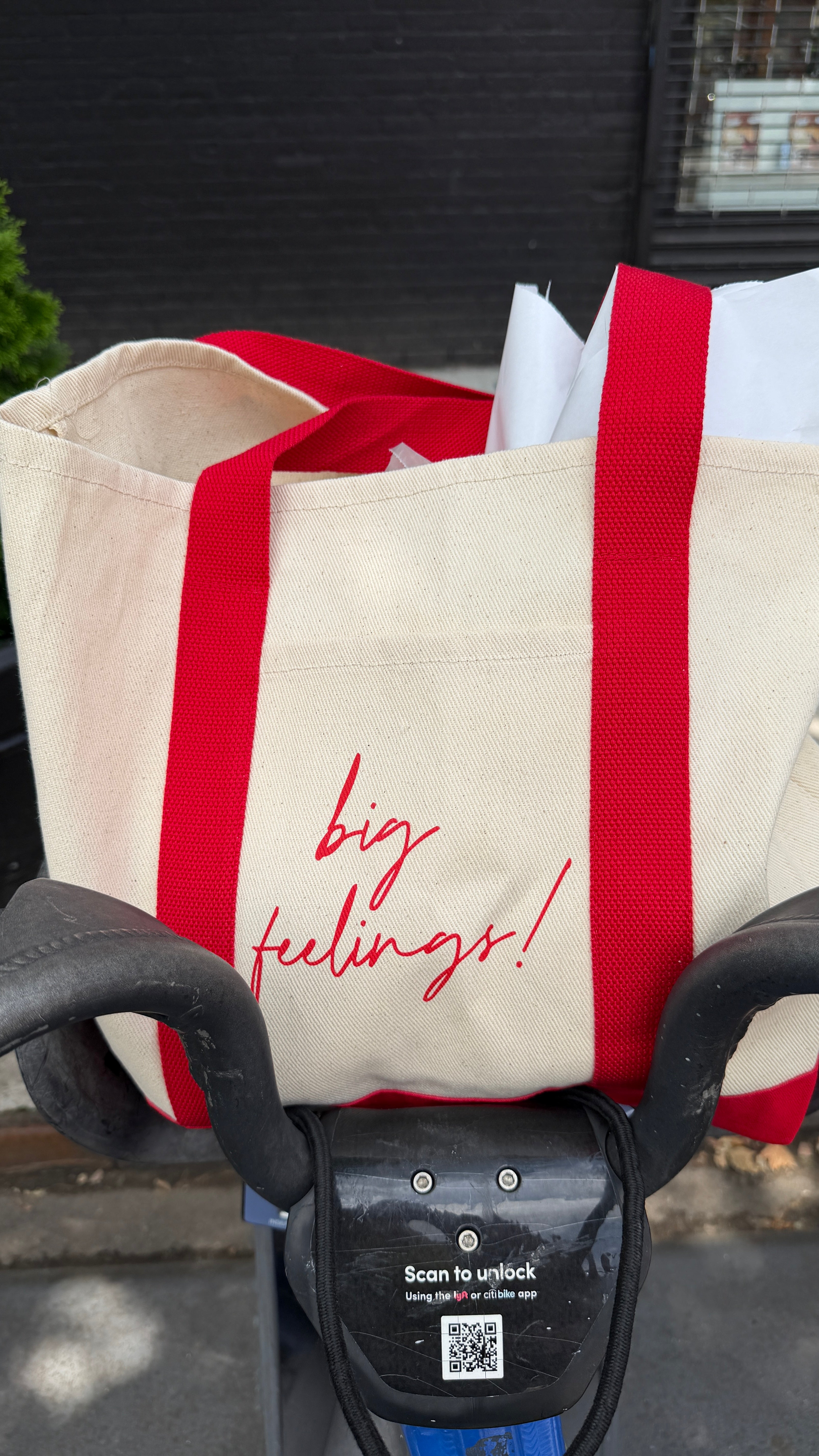 Big Feelings Canvas Boat Tote